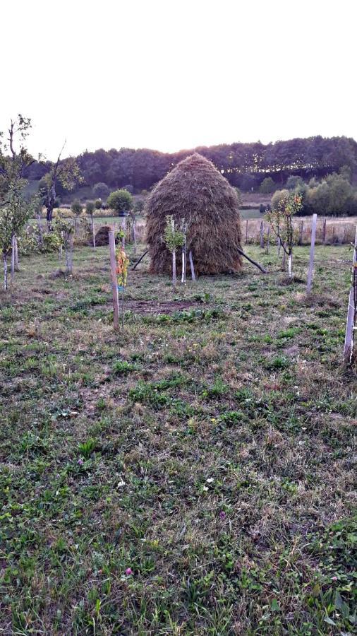 La Curtea Veche Daire Lapus Dış mekan fotoğraf