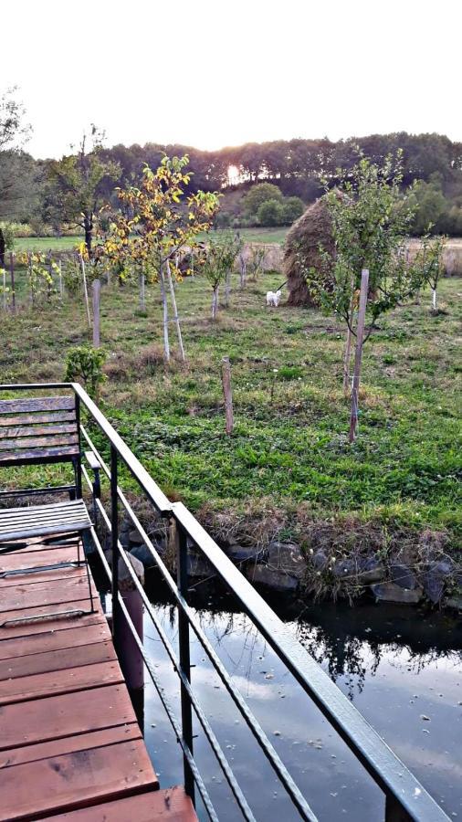 La Curtea Veche Daire Lapus Dış mekan fotoğraf