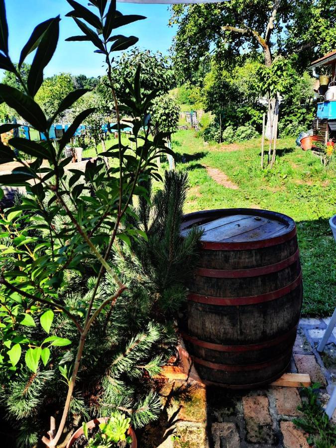 La Curtea Veche Daire Lapus Dış mekan fotoğraf