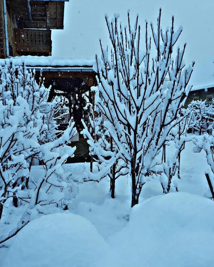 La Curtea Veche Daire Lapus Dış mekan fotoğraf