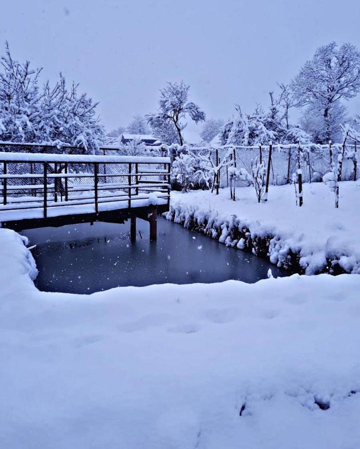 La Curtea Veche Daire Lapus Dış mekan fotoğraf
