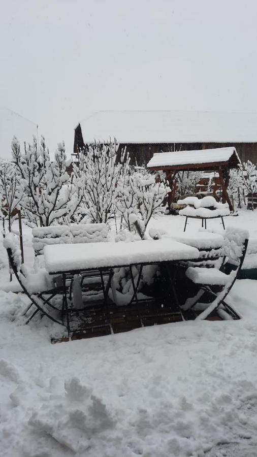 La Curtea Veche Daire Lapus Dış mekan fotoğraf