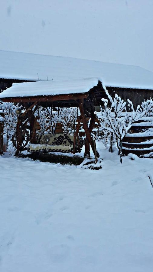 La Curtea Veche Daire Lapus Dış mekan fotoğraf
